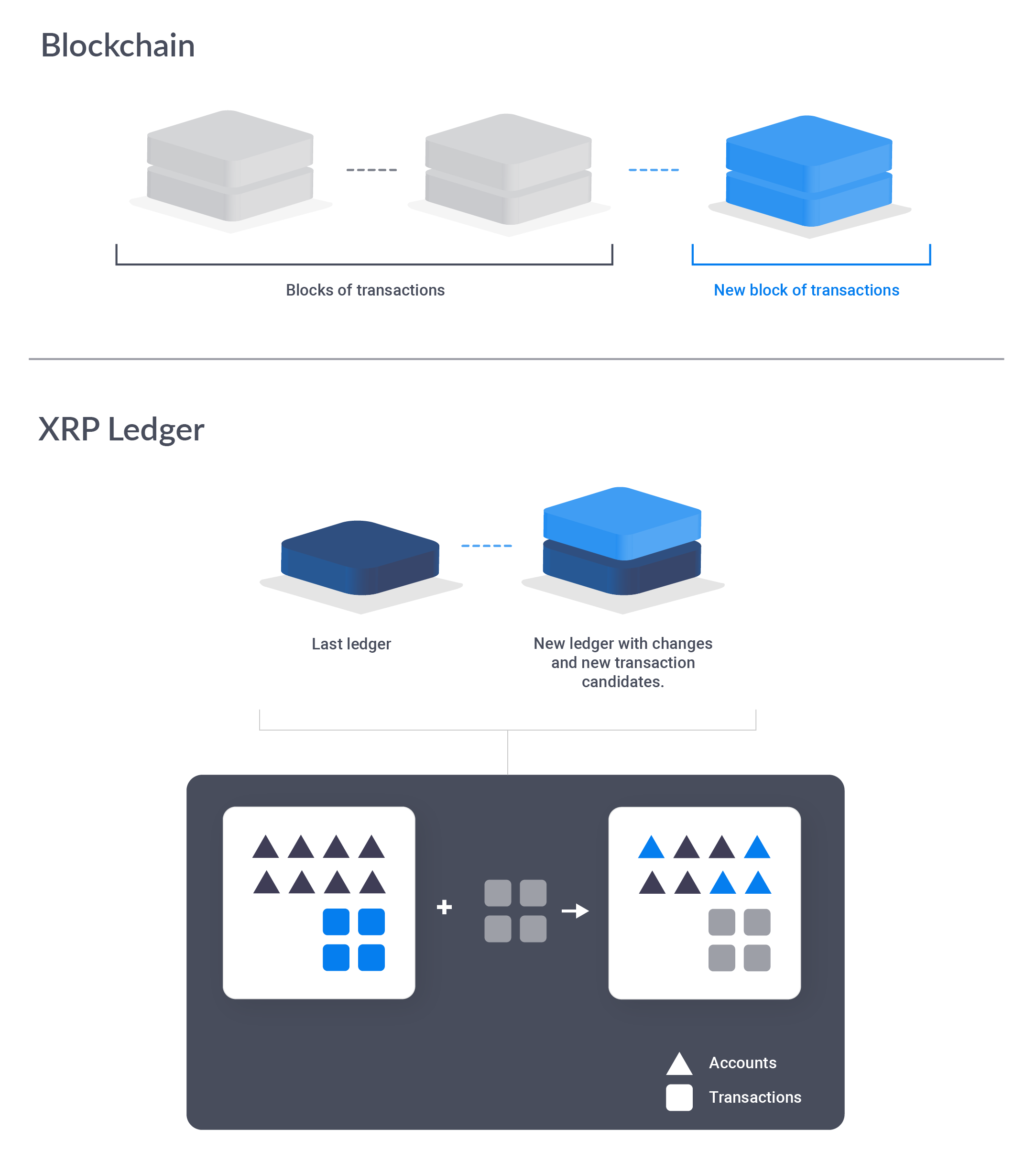 xrp ledger live