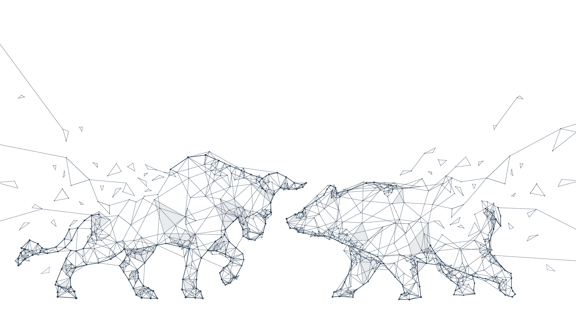 Is the bear market truly here?